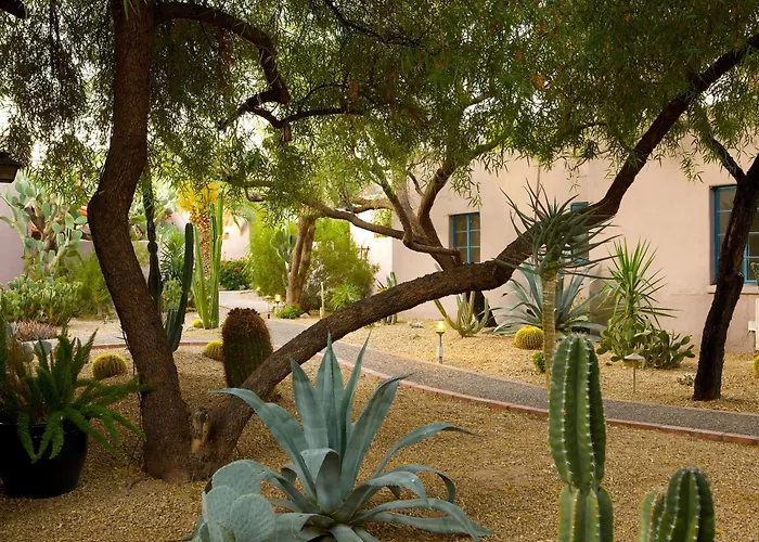 Lodge On The Desert *